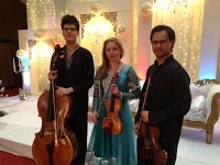 Manchester Bollywood String Quartet 1060763 Image 9